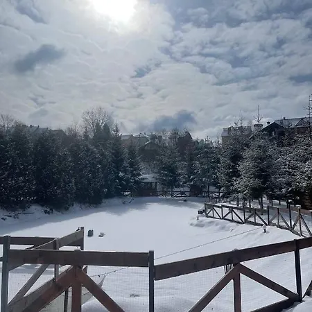 Vakantiehuis зруб Skhidnytsia