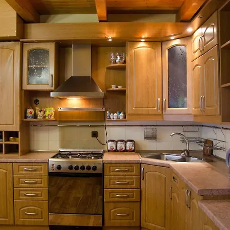 зруб בית נופש Skhidnytsia