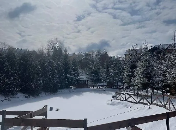 度假居 зруб Skhidnytsia